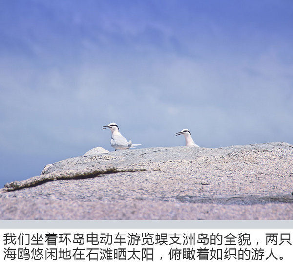 偷得国庆前夕三日闲 日产天籁海南升舱之旅-图5