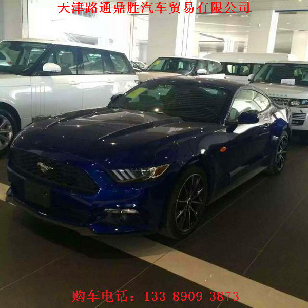 16款福特野馬特價現(xiàn)車 情調(diào)放縱撩妹超跑-圖2