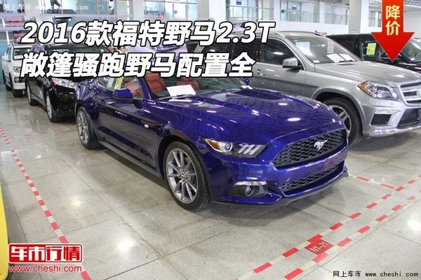2016款福特野馬2.3T 敞篷騷跑野馬配置全-圖1