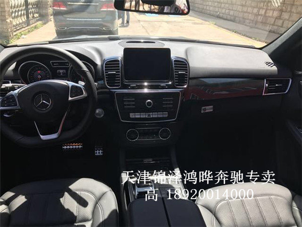 2017款奔驰GLE43AMG 行走川藏线性能彪悍-图7