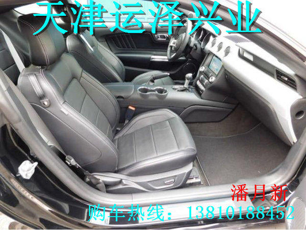 16款福特野馬美規(guī)版 津港29萬提經(jīng)典跑車-圖7