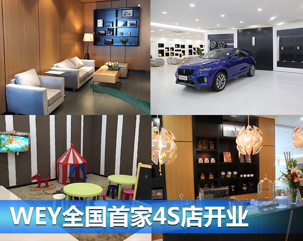 这七个新汽车品牌您认得全吗？ 抢滩SUV市场-图13