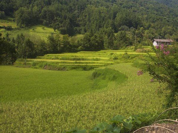 城市越野利器 試駕名爵銳騰征戰(zhàn)恩施壁掛公路-圖8