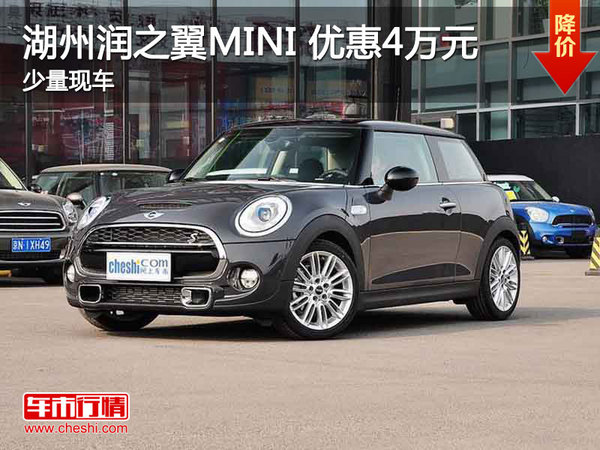 湖州润之翼MINI