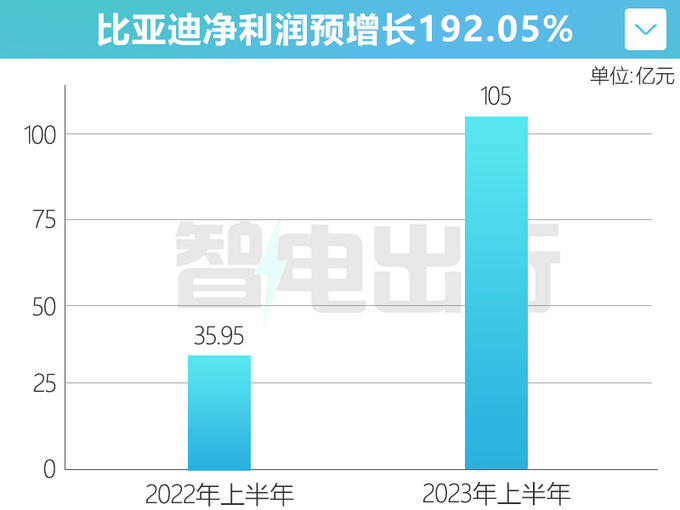 比亚迪上半年净利润预增192 卖一辆车仅赚7451元-图4