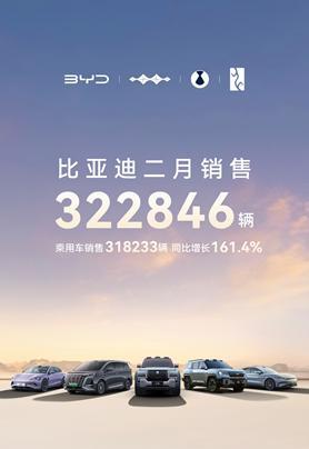 比亚迪2月稳坐销冠宝座：累计超32万辆，宋家族2月狂销12万辆