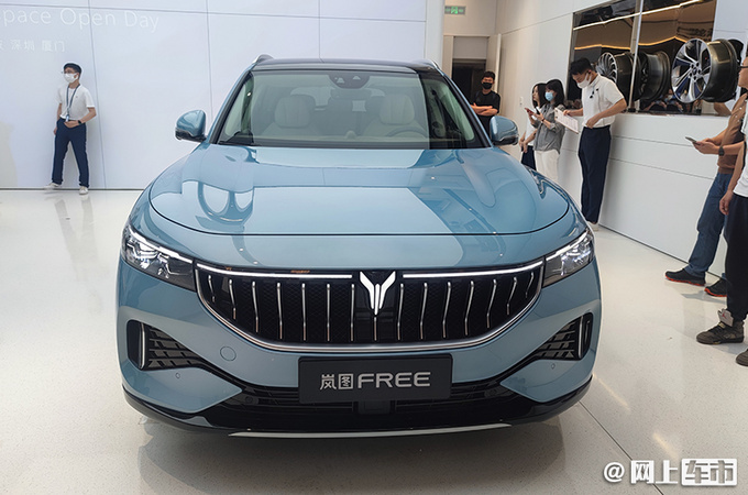 30万SUV新选择岚图FREE正式上市XX.XX万起售-图3
