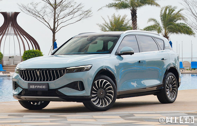 每年一款新车 东风岚图新产品曝光-MPV年内发布-图1