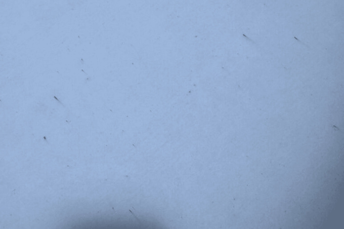 特斯拉Cybertruck车主反馈皮卡不锈钢车身竟然生锈了-图2