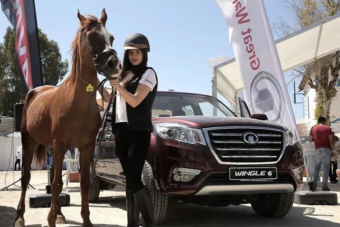 皮卡行业破局关键水落石出新能源+全球化-图6