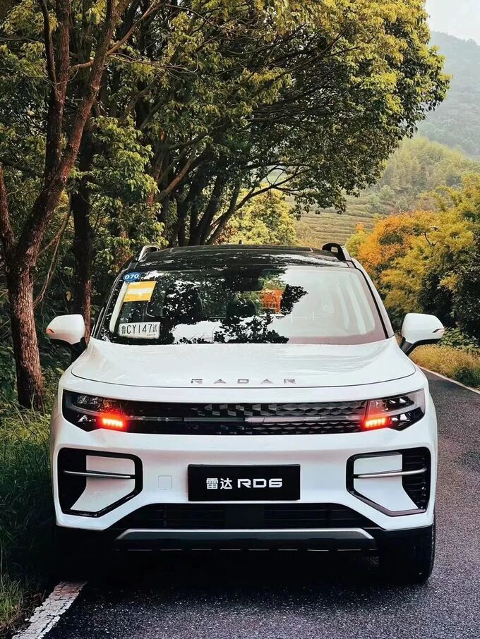 见证40年沧海桑田经济晴雨表皮卡仍是最具潜力的细分品类-图12