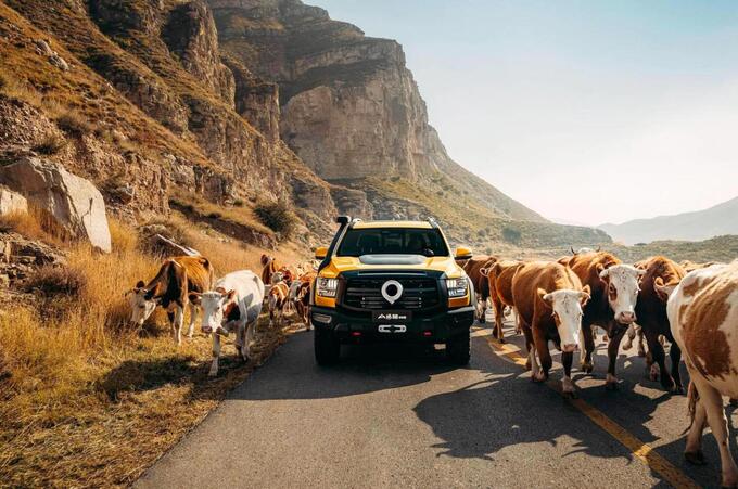 与美日车企在国际市场正面硬刚 长城皮卡新能源车型登陆多国-图8