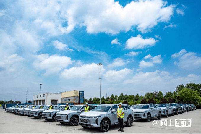 6月销量出炉奇瑞集团的奥迪月销近万-图5