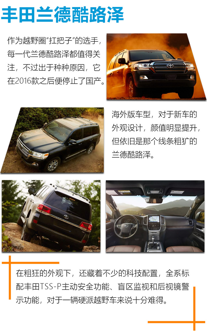 石油国土豪们的最爱各个都是沙漠之舟-图3