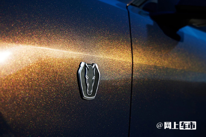 福特野马高性能版11月6日首秀搭5.0L V8引擎-图4