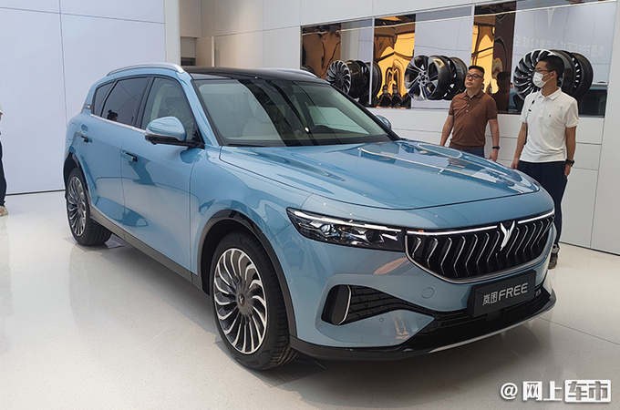 30万SUV新选择岚图FREE正式上市XX.XX万起售-图1