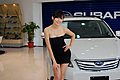 2010台北车展车模