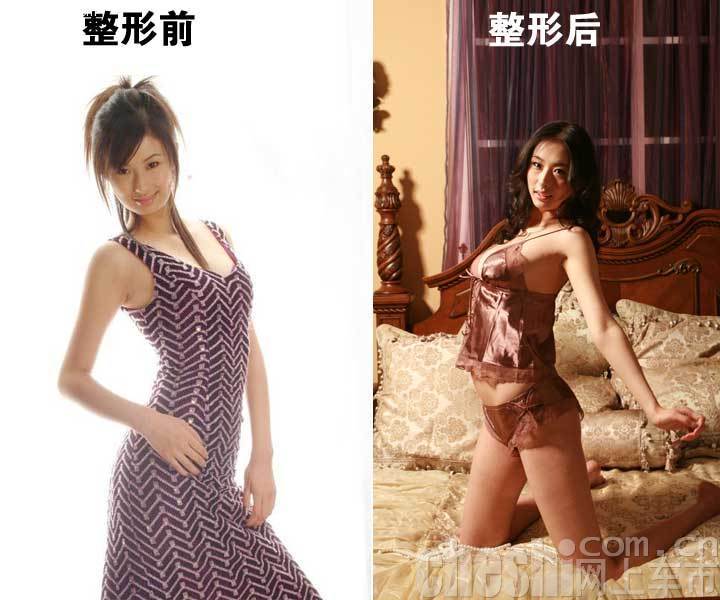 性感美女兽兽