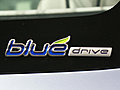 BLUE WILL