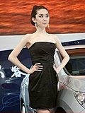 2010北京车展车模