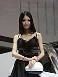 2010北京车展车模