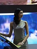 2010北京车展车模