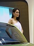 2010北京车展车模