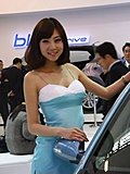 2010北京车展车模