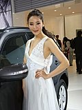 2010北京车展车模