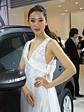 2010北京车展车模