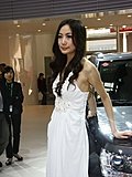 2010北京车展车模