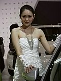 2010北京车展车模