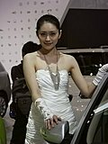2010北京车展车模