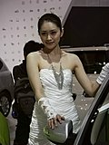 2010北京车展车模