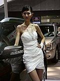 2010北京车展车模