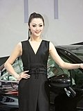 2010北京车展车模