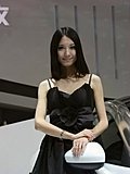 2010北京车展车模