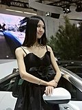 2010北京车展车模
