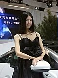 2010北京车展车模