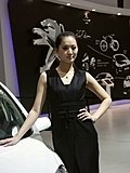 2010北京车展车模