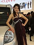 2010北京车展车模