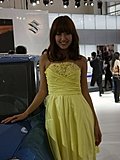 2010北京车展模特