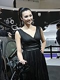 2010北京车展模特