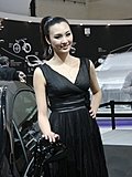 2010北京车展模特