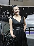 2010北京车展模特
