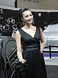 2010北京车展模特