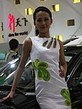 2010北京车展模特