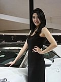 2010北京车展模特