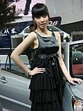 2010北京车展模特