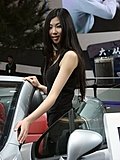 2010北京车展模特